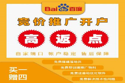 SEM服务在本地化营销中的应用案例